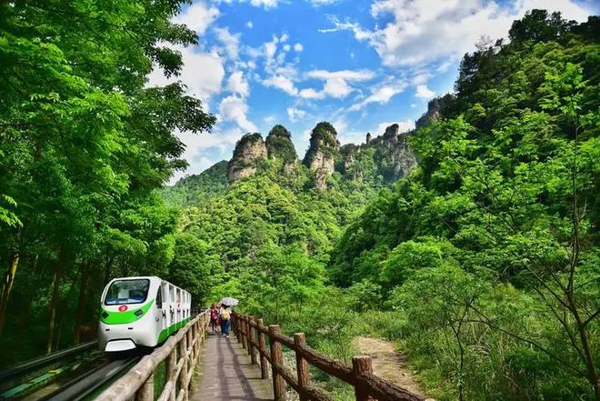 张家界景点介绍网_张家界国家森林公园攻略_天门山玻璃栈道旅游攻略